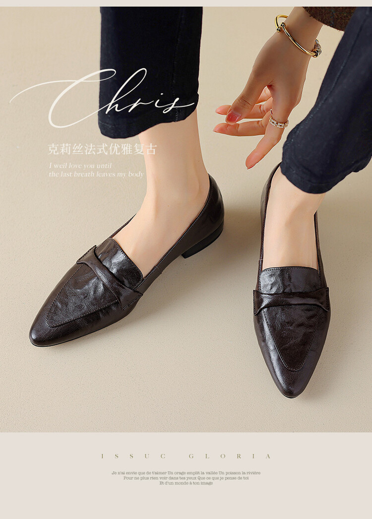 Women's Retro Pointed Toe Chunky Heel Loafers - Sheepskin Slip-On Shoes - Image 4